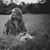 Meadow Pierce's profile image
