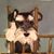 Carolyn Sue Marshall's profile image