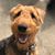 Donna Bresnick Babchuck's profile image