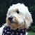 Jan Moore Aaron's profile image