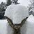 Daniel Slyman's profile image