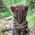 Nancy Reiff's profile image