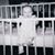 Tammi Euler Steward-Hopson's profile image