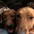 Del N Katherine's profile image