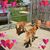Debra O'Bryant Haworth's profile image