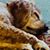 Katie Horning Jines's profile image