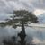 Jolene Snyder Smith's profile image