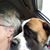 Maire Scott-Jones's profile image