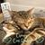 Carolyn Krueger's profile image