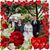 Terri L Tandy Hampton's profile image