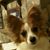 Cheryl Danos's profile image