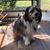 Mary Xaverius Mullozzi's profile image