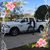 Lisa Whitehead's profile image