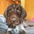 Jill Johnson's profile image