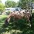 Karen Evans's profile image