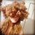 Stephanie Thull's profile image