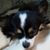 Grace Skipton's profile image