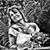 Lori Brdar Looman's profile image