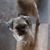 Lisa Marie Creech-Kemplin's profile image