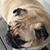 Judi Haselton Dill's profile image