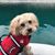 Rochelle Gillard-Walsh's profile image