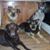 Tammy Sommer's profile image