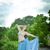 Amanda Randall's profile image