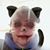 Heidi Harris's profile image