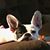 Brenda Ruby Mccloud's profile image