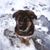 Todd Lauzon's profile image