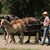 Christopher Clark's profile image