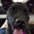 Karen Stellmacher's profile image