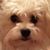 Jana Calcote Bracewell's profile image