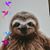 Susan Janssen Willett's profile image