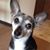Karen Wanner Fink's profile image
