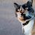Stacie Ruiz Bingham's profile image