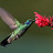 raj's profile image