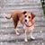 Sherri Gazenski's profile image
