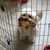 Stephanie Chapman's profile image