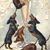 Joan McCauley's profile image