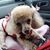 Belinda Lann Johnson's profile image