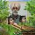 Harmeet Singh Gaidu's profile image