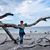 Gabriele Nolte's profile image