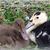 Rhonda Gordon Aydlett's profile image