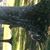 Tina Marie Corbett's profile image