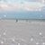 Linda A. Vintro's profile image
