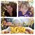 Anissa Hayes's profile image