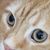Summer Anderson's profile image