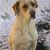 Gail Christman's profile image