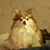 Randy Pollow's profile image